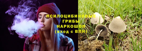 2c-b Балабаново