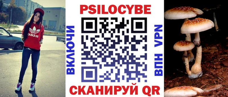 Псилоцибиновые грибы мухоморы  Гаврилов-Ям 